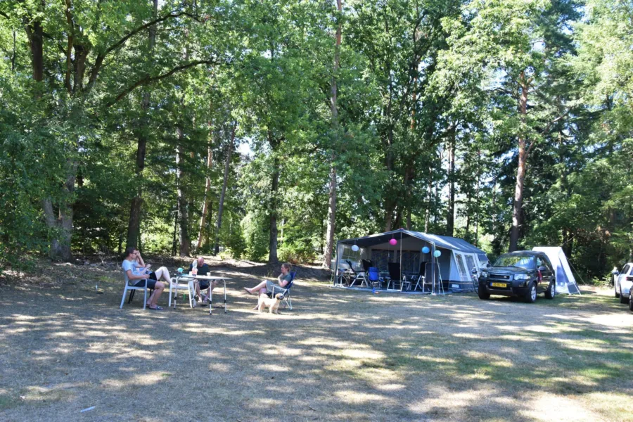 Camping mit Hund Stellplatz Ommerhout 1