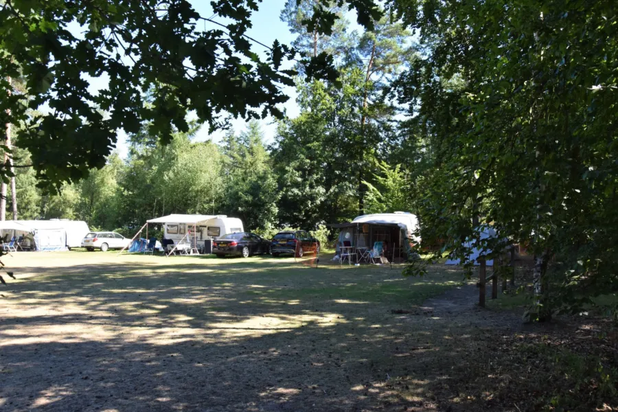 Campingplatz mit Ponyreiten Ponycamping 7