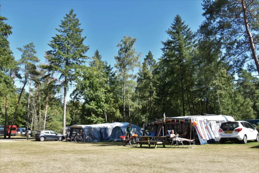 Campingplatz mit Ponyreiten Ponycamping 9