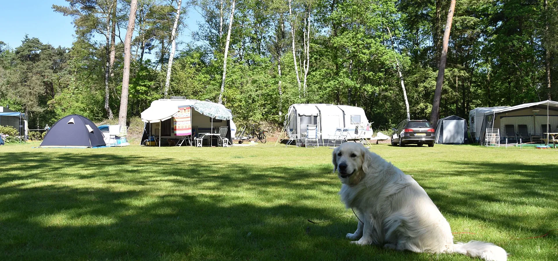 Camping Ommen mit Hund Ommerland 19