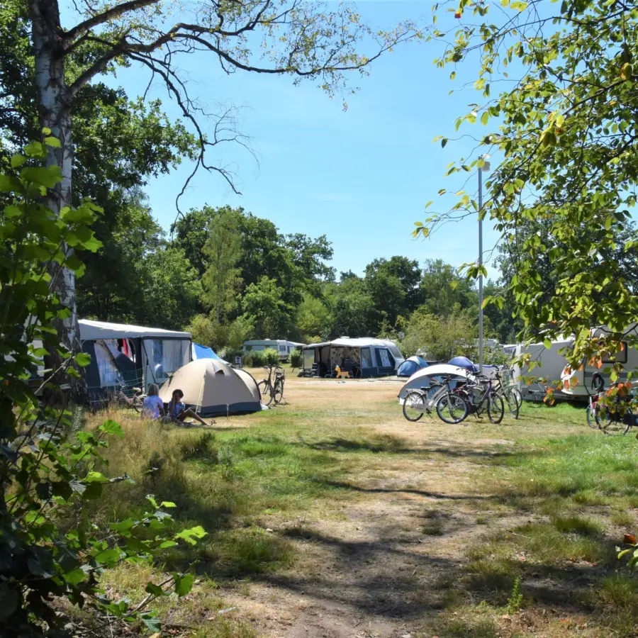 Camping Ommen mit Schwimmbäder 5