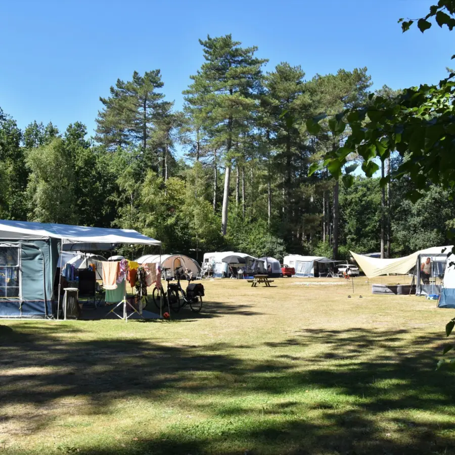 Camping Ommen mit Schwimmbäder 11