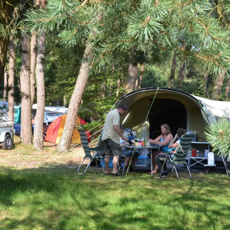 Camping im Wald camping ommerland 8