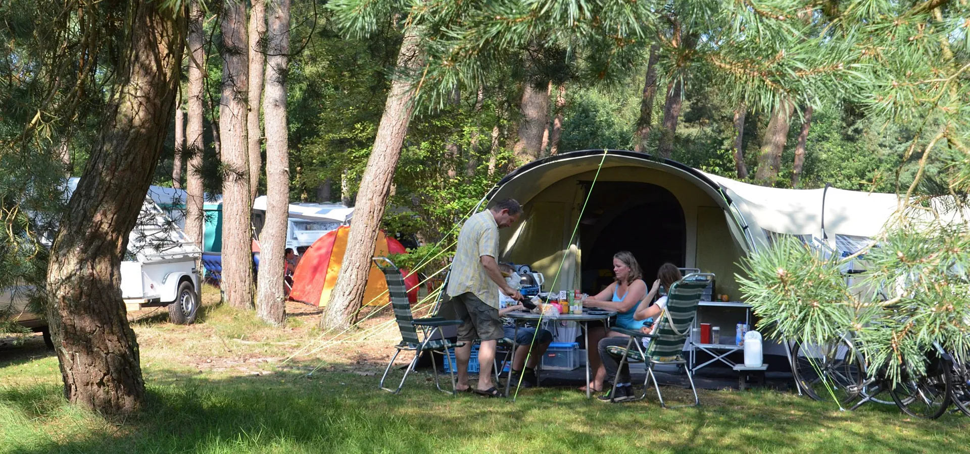 Camping im Wald camping ommerland 8