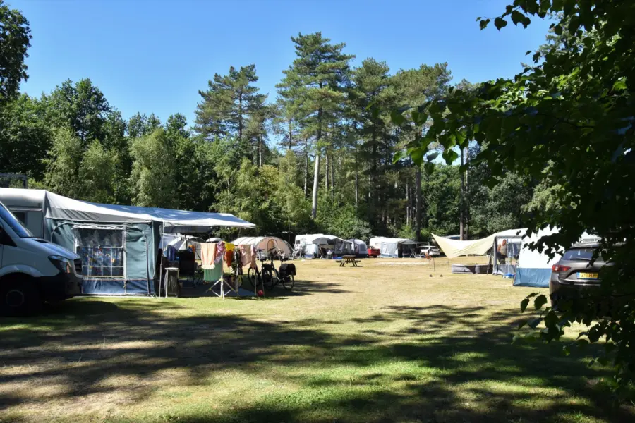 Camping Ommen mit Schwimmbäder 11