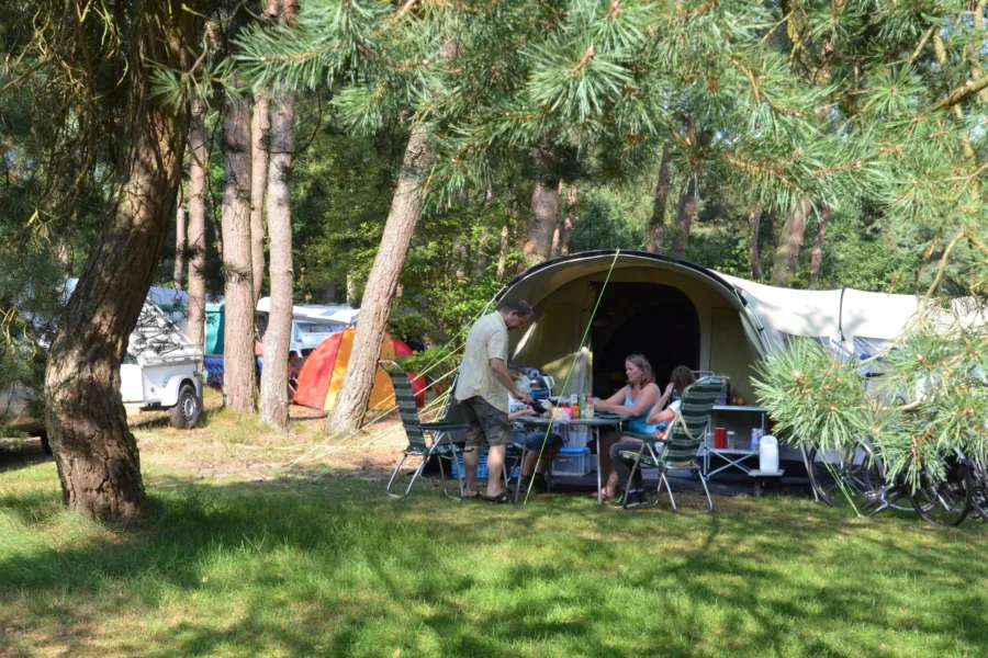 Camping im Wald camping ommerland 8