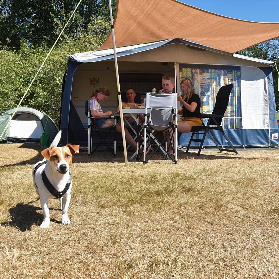 Camping Ommen mit Pools 4