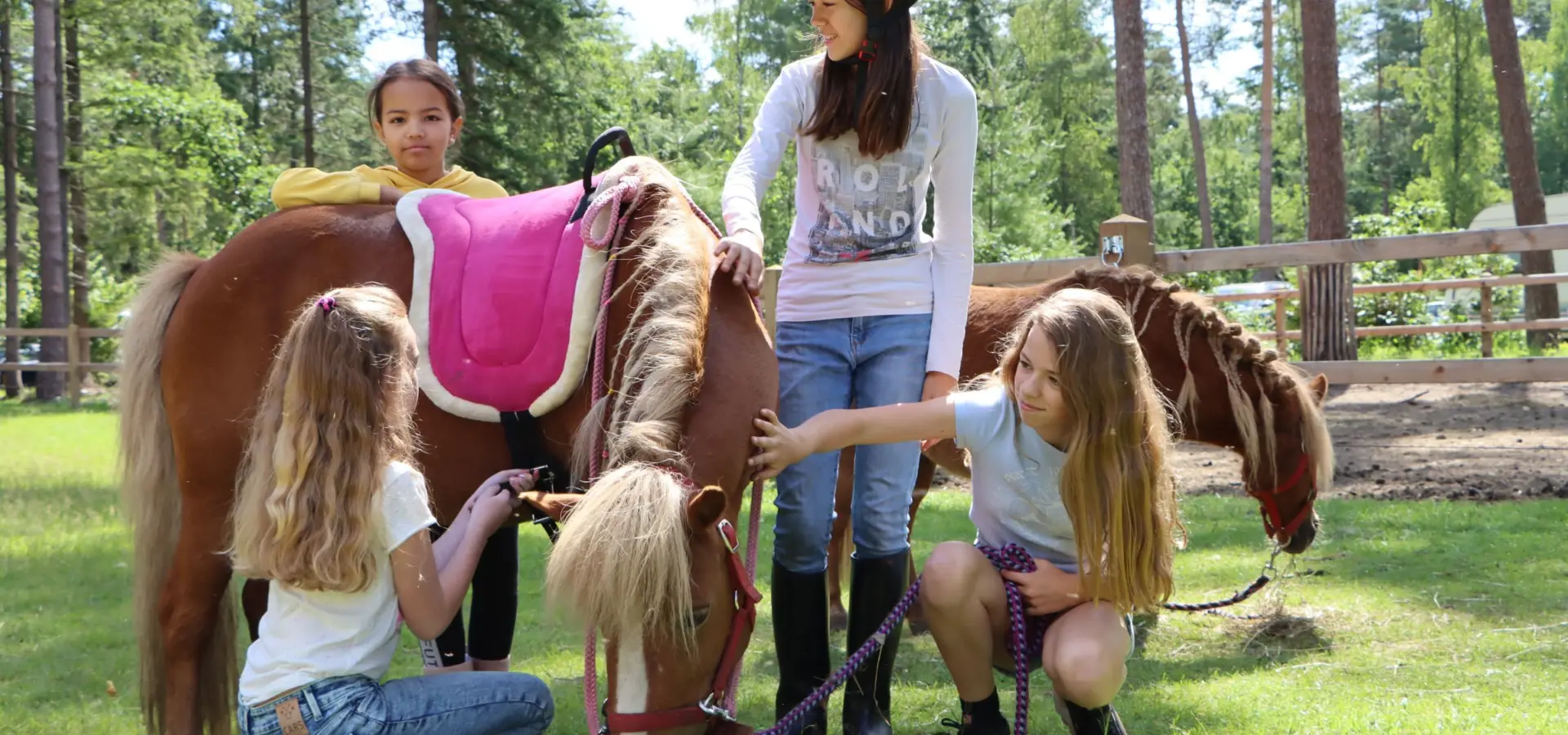 Camping mit Pflegepony Ommen 2