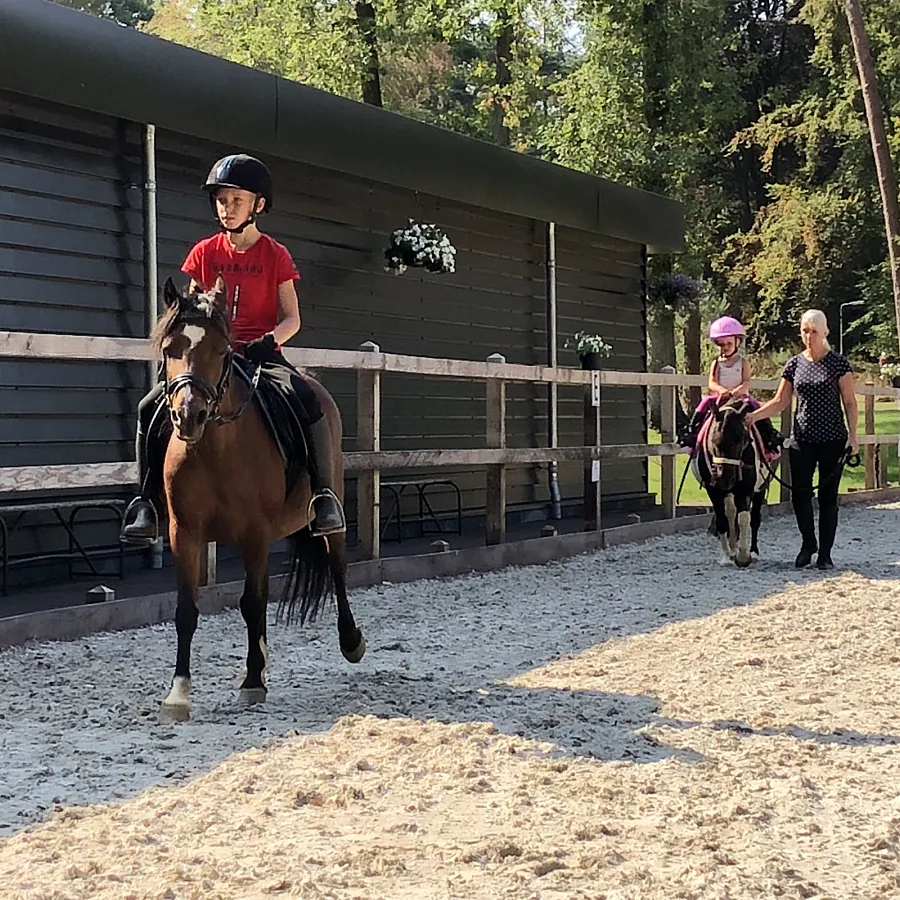 Zeltplatz mit Ponyreiten Ommen 11