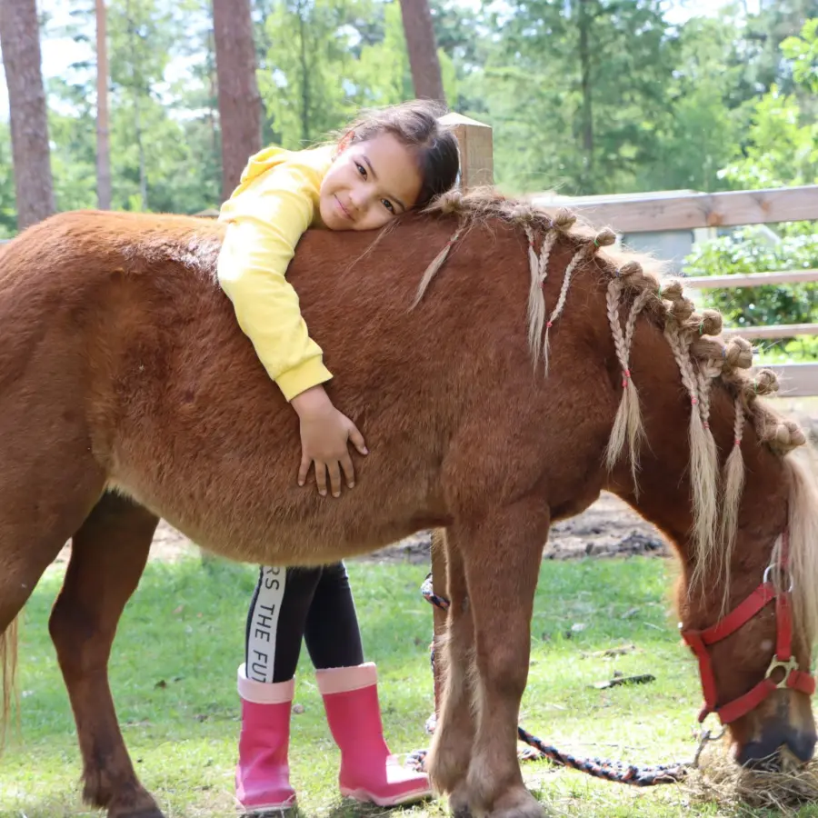 Camping mit Pflegepony Ommen 1