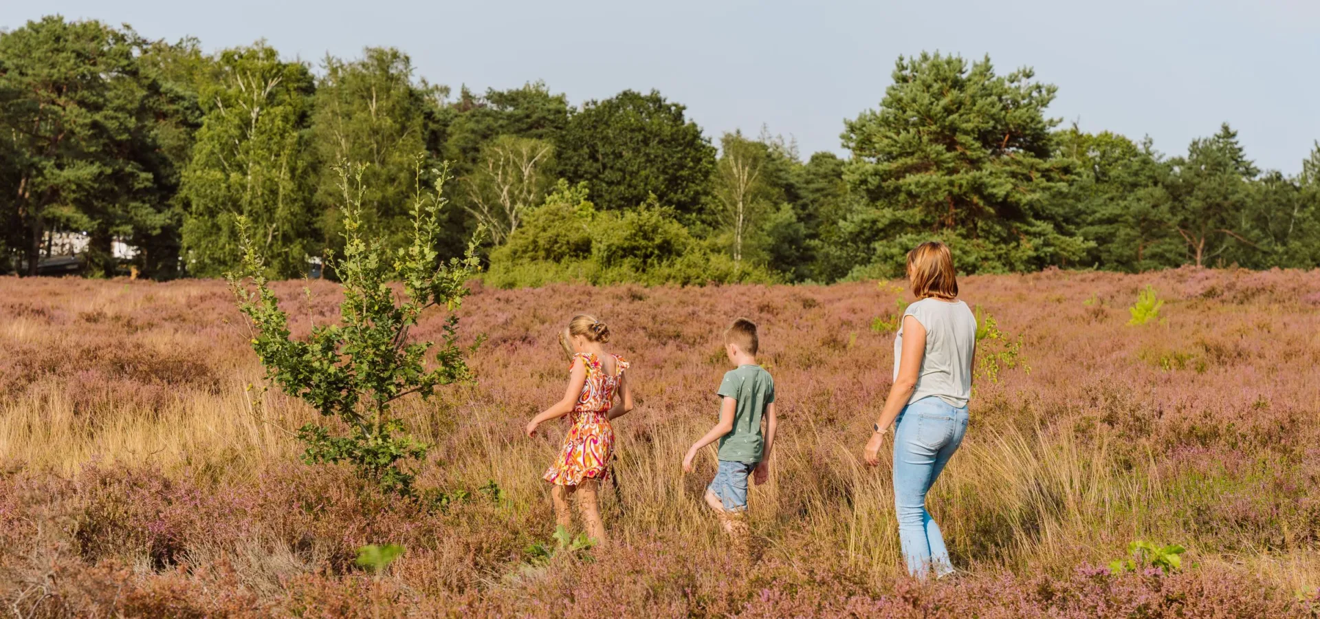 Ferienpark Ommen Ommerland 42