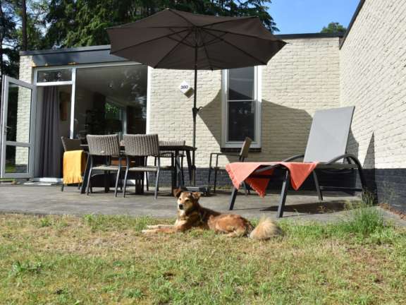 Ferienpark Overijssel Bungalow mit Hund 11