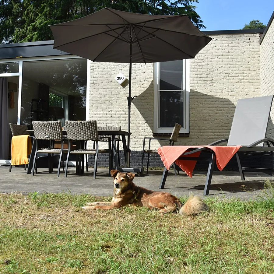 Ferienpark Overijssel Bungalow mit Hund 11