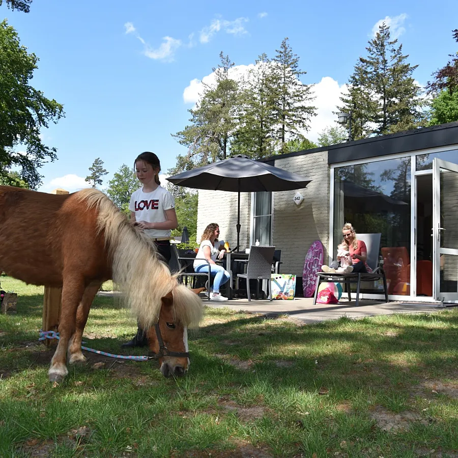 Pony-Ferienpark Ommen 11