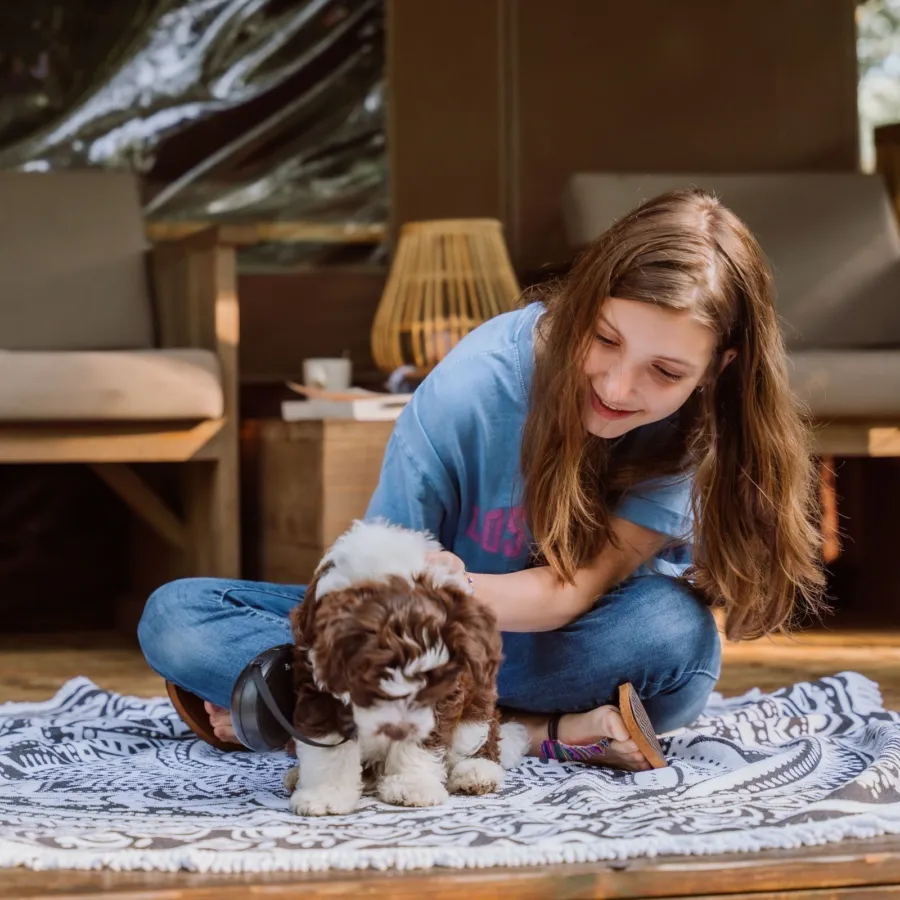 Glamping mit Hund 21