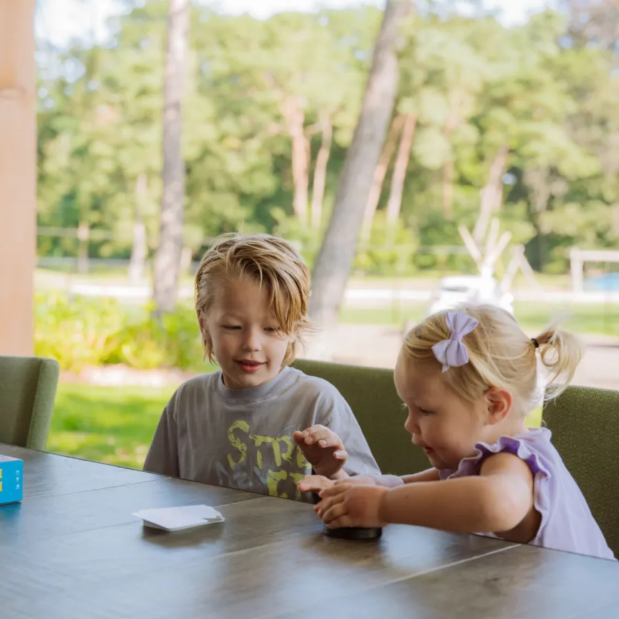 Ferienpark Ommen Heide Villa 6 pers 16